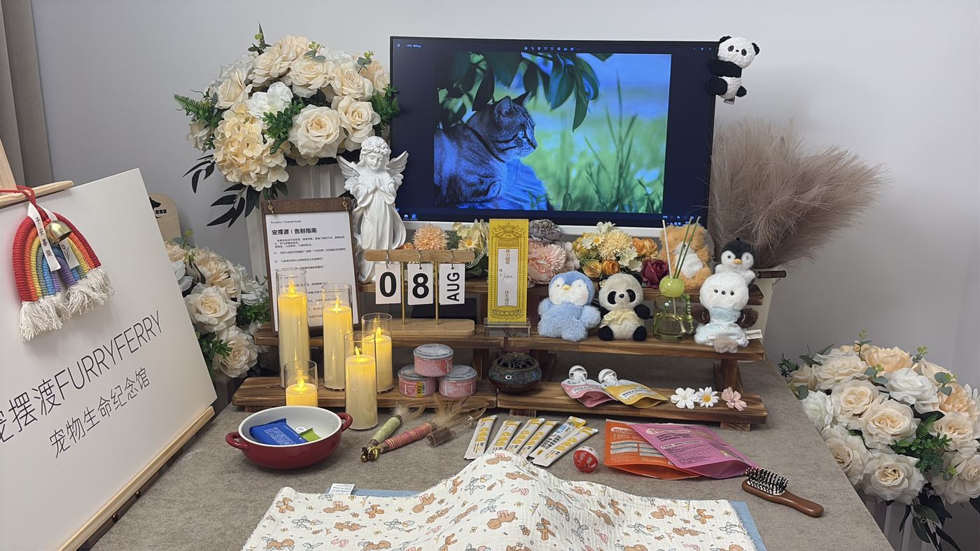 保定宠物告别厅布置：如何给古都家属一个体面的告别