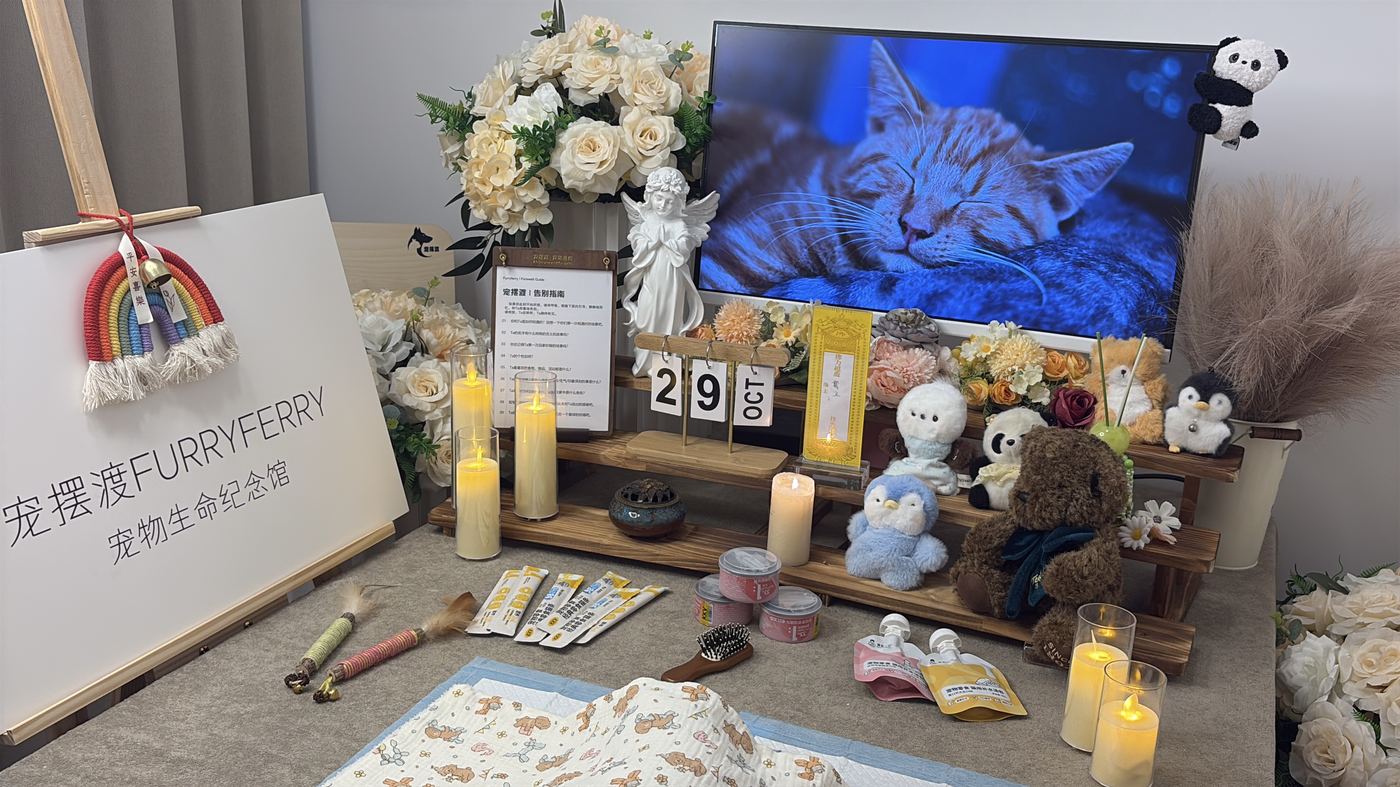 怎么拿到死亡证明
